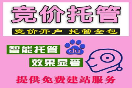 百度推广效果评估与持续优化——某行业案例研究